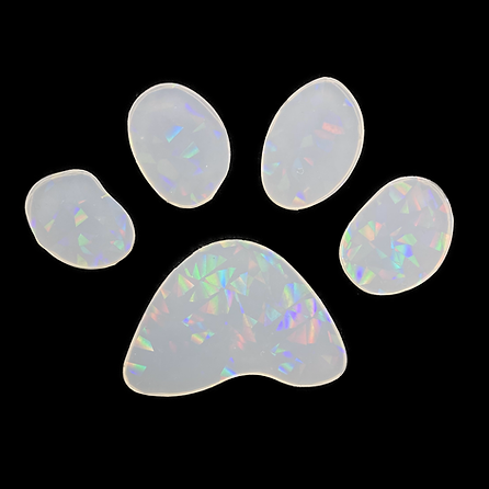 Holo Druzy Inlay Mold Pfote 10cm