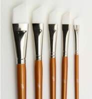 Artist Brush Set (5x angular)