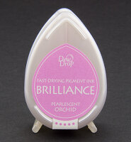 Brilliance Dew Drop - Perlglanzorchidee